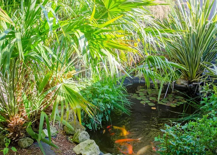 Gasthuis La Pause Celeste