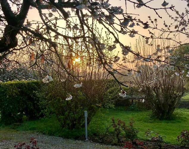 Gasthuis La Pause Celeste Ordonnac